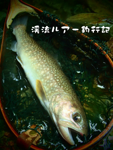 P8150004.jpg