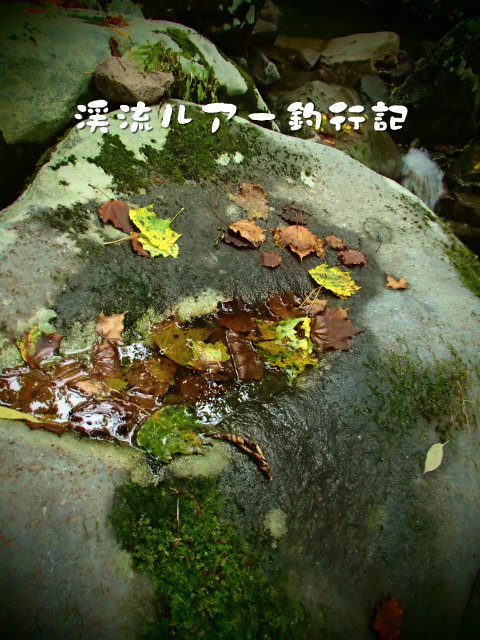 P8160049.jpg
