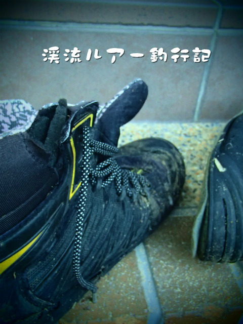 P8260006.jpg