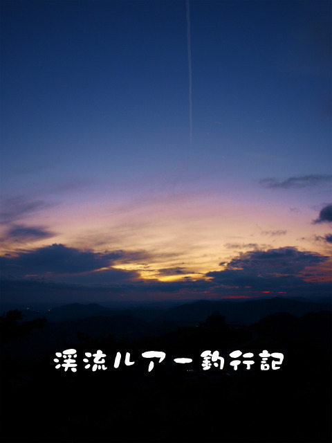 PA317651.jpg