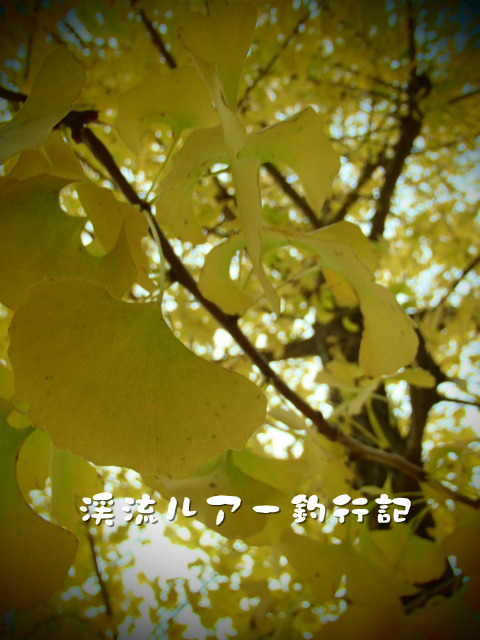 PB070008.jpg