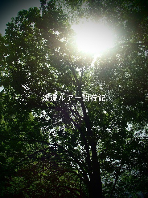 ブログ-P6080001 (2).jpg