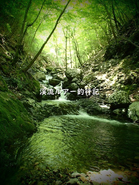 ブログ-P6080002 (2).jpg