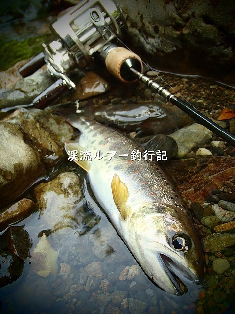 ブログ-P6080013 (2).jpg
