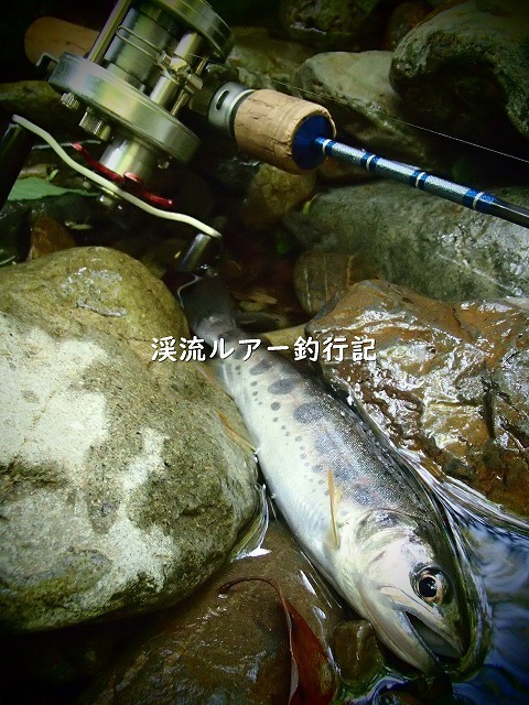 ブログ-P6080017 (2).jpg