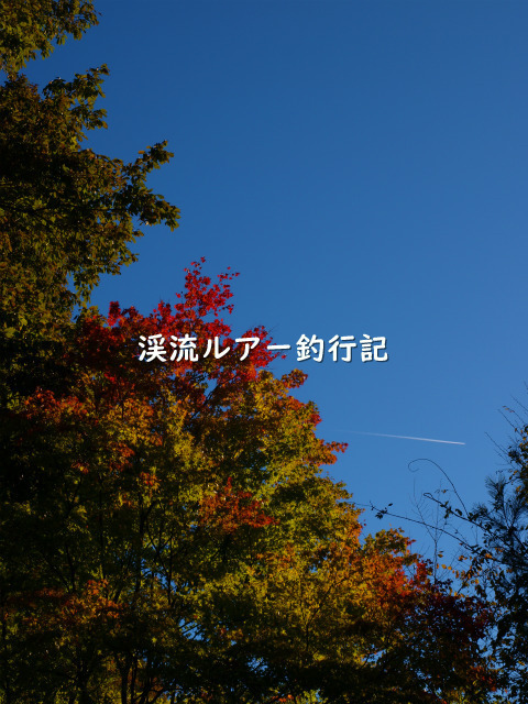 P1019652 (2).jpg