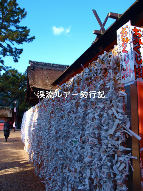 P1019764 (2).jpg