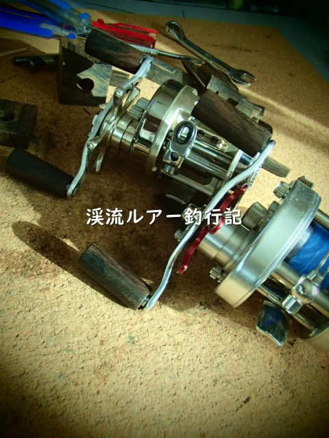 P1020065 (2).jpg