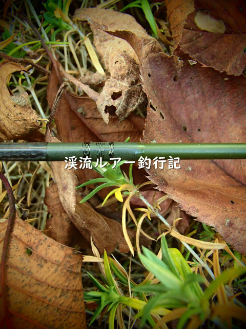 P1030007 (2).jpg