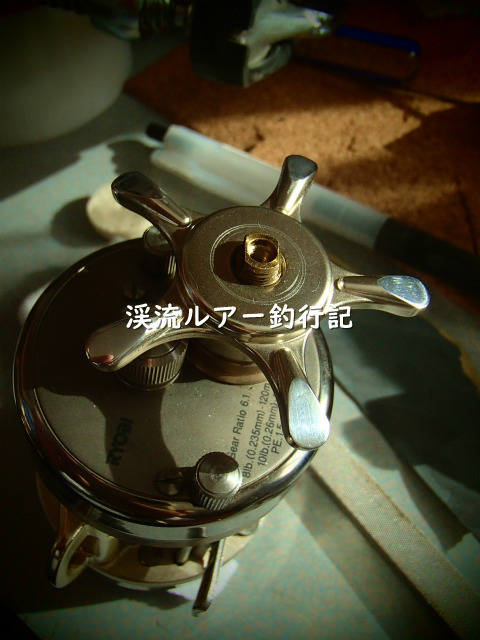 P1040079 (2).jpg