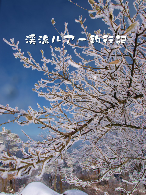 P1047109.jpg