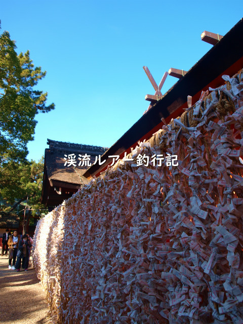 P1069344 (2).jpg