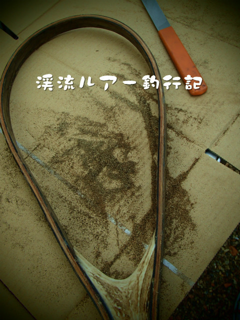 P1070006.jpg