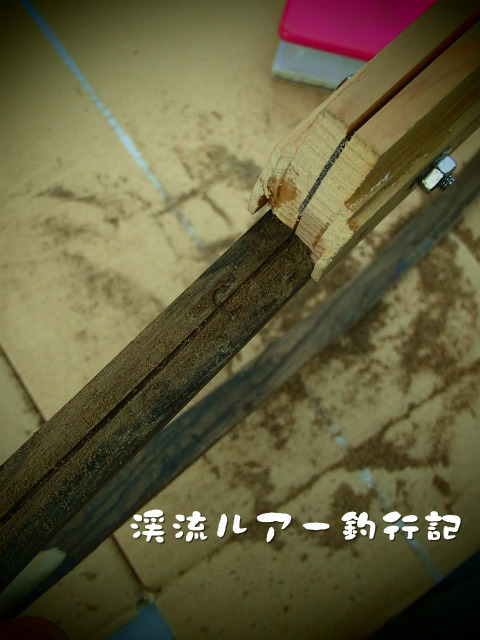 P1070011.jpg