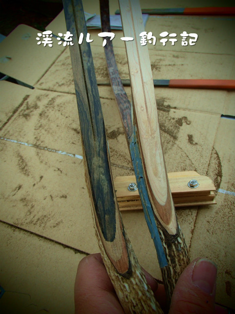 P1070014.jpg