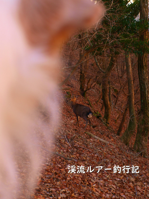 P1088292.jpg