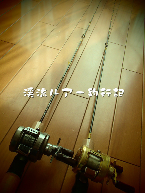 P1090047.jpg