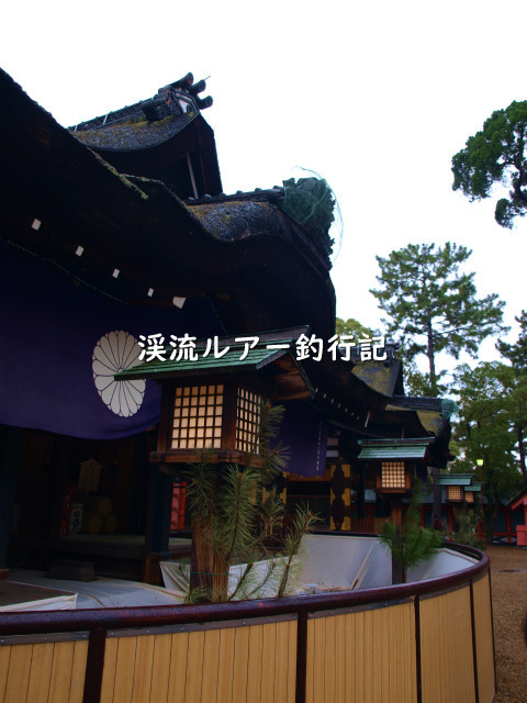 P1109589 (2).jpg