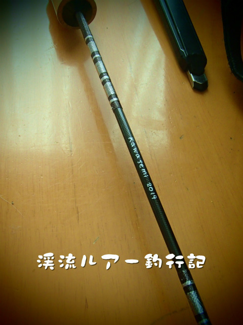 P1130002.jpg
