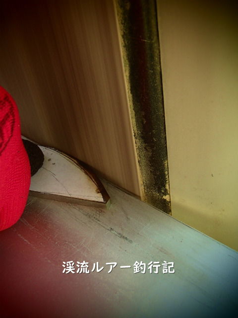 P1130005.jpg