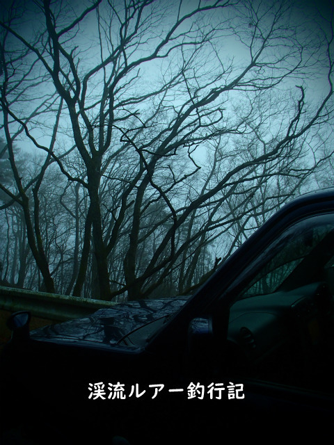 P1150001.jpg