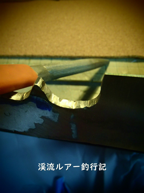 P1150005.jpg