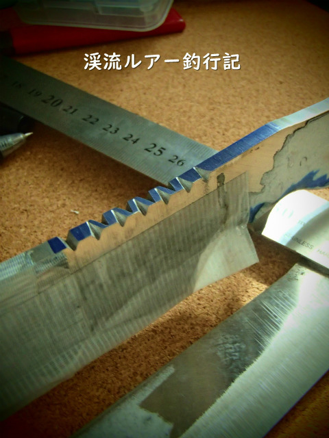 P1190009.jpg