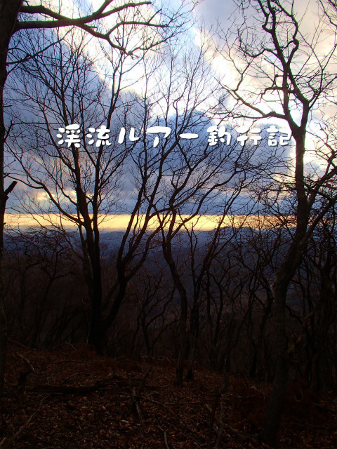 P1200040.jpg
