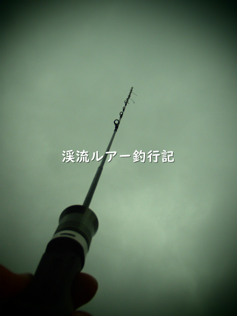 P1210011 (2).jpg