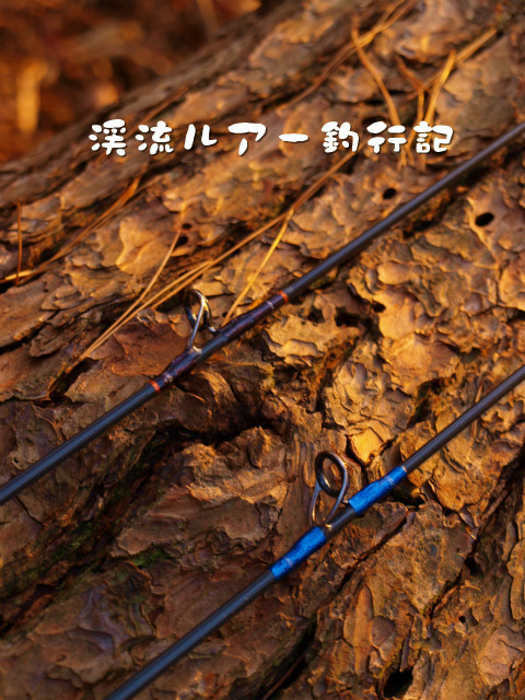 P1237869.jpg