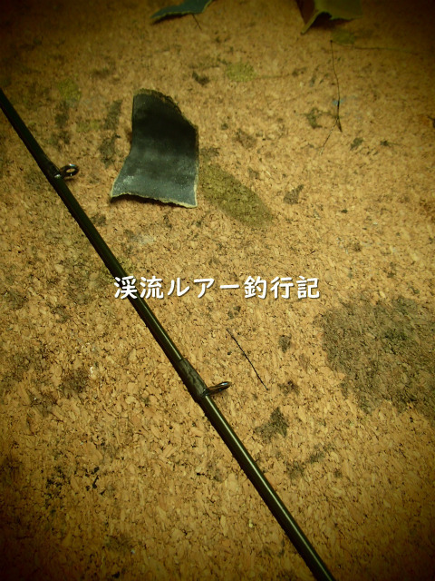 P1240001 (2).jpg