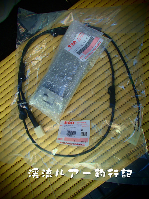 P1240008.jpg