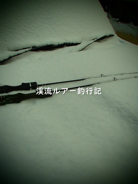 P1250006 (2).jpg