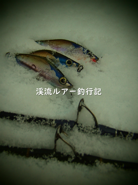 P1250010 (2).jpg