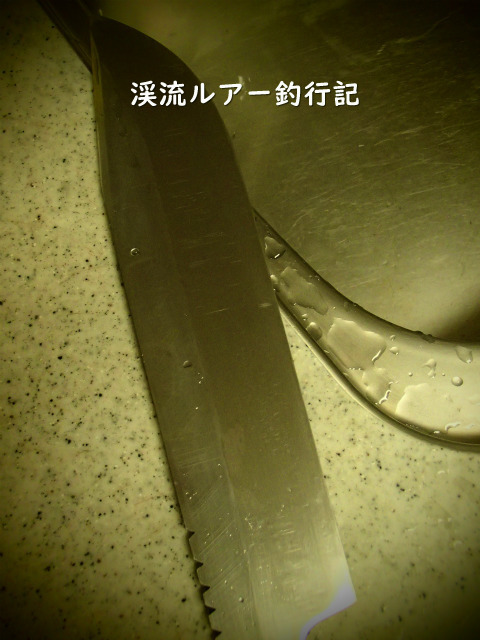 P1260006.jpg