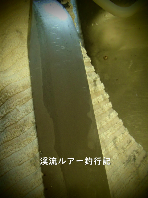 P1260007.jpg
