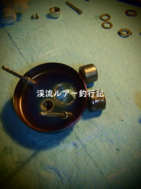 P1270010 (2).jpg