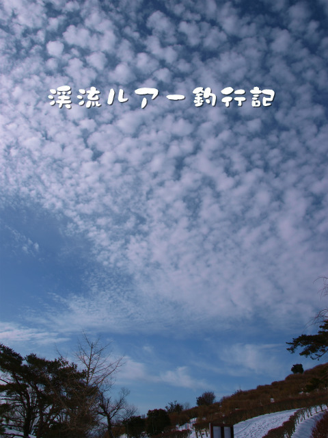 P1307891.jpg