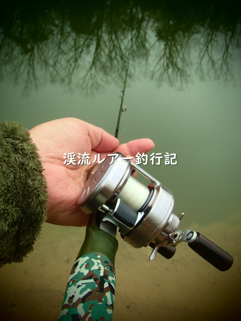P2010003 (2).jpg