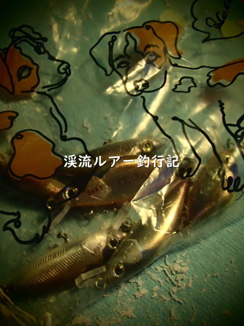 P2010006 (2).jpg