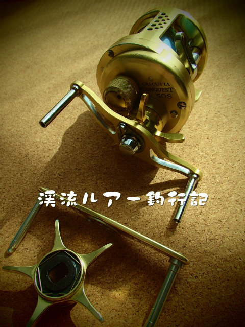 P2040006.jpg