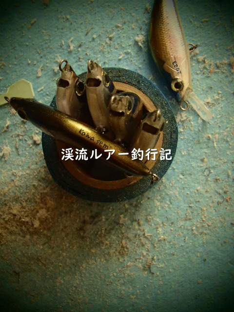 P2050004 (2).jpg