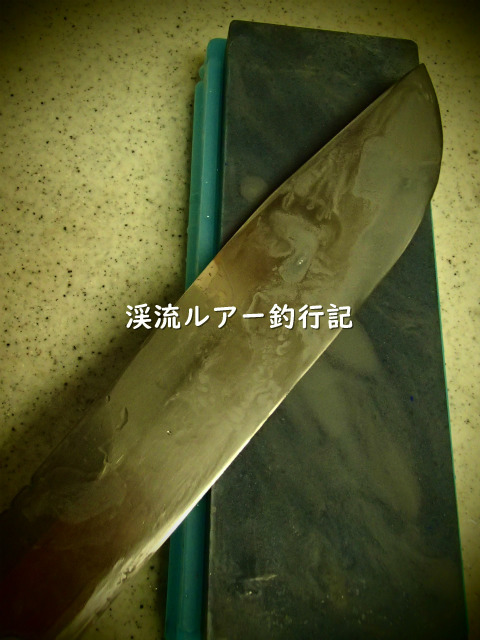 P2070006 (2).jpg