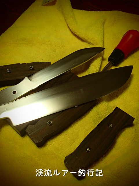 P2070016 (2).jpg