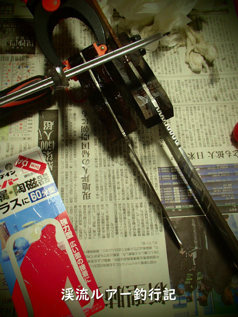 P2090033 (2).jpg