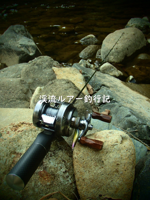 P2110002 (2).jpg