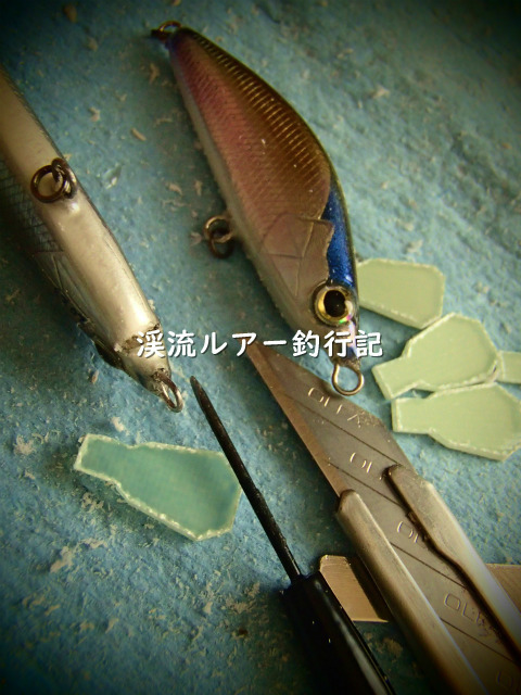 P2110003 (2).jpg