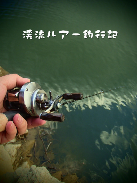 P2130001.jpg