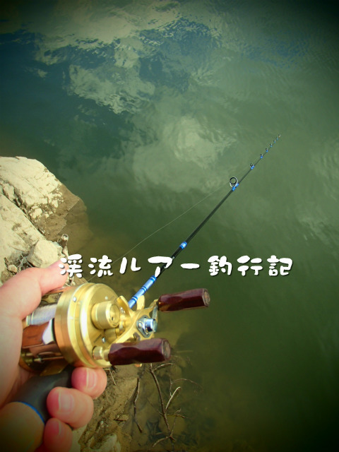 P2130003.jpg