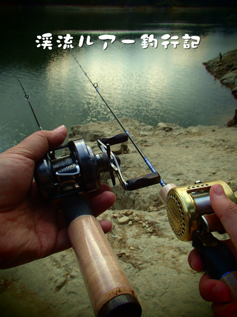 P2130006.jpg